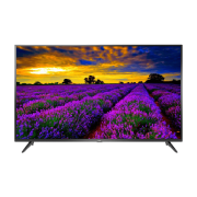 TCL 55P65US